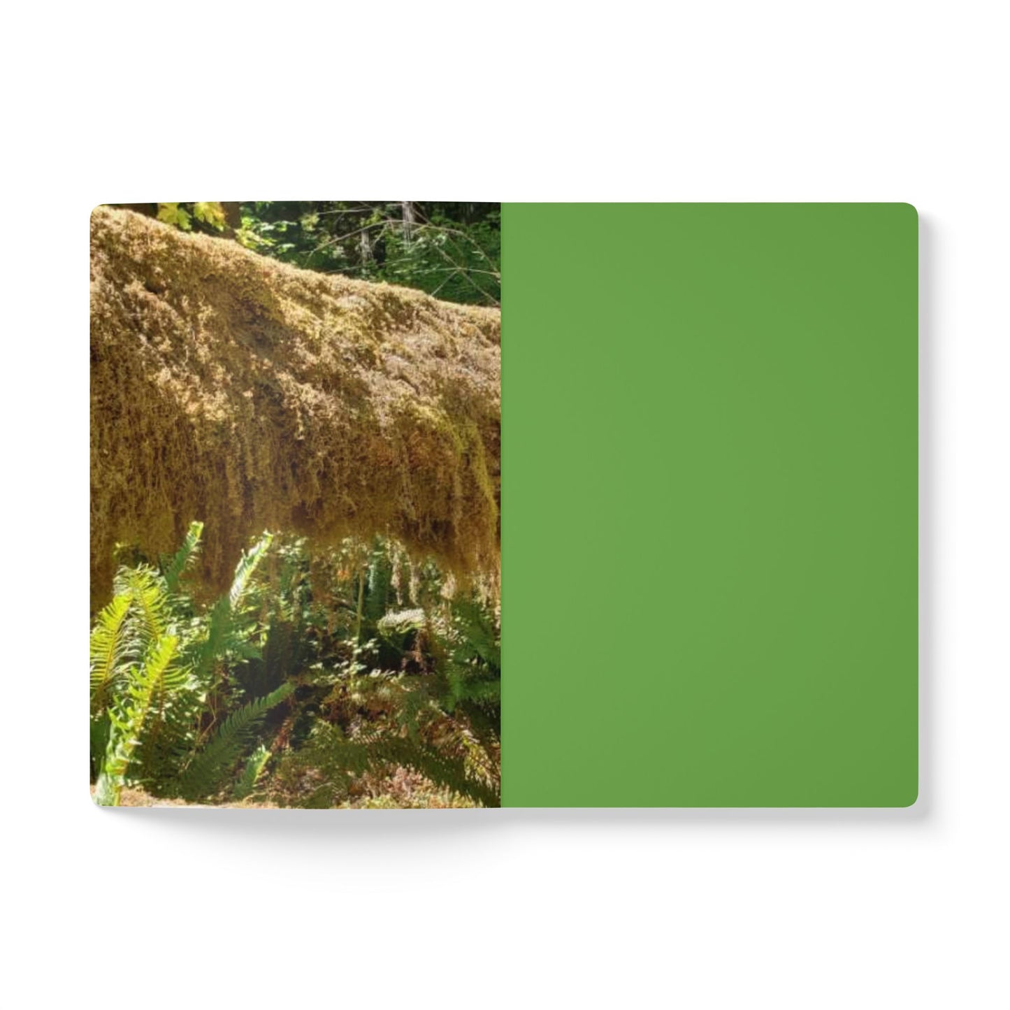Softcover Journal (with Inside Prints)