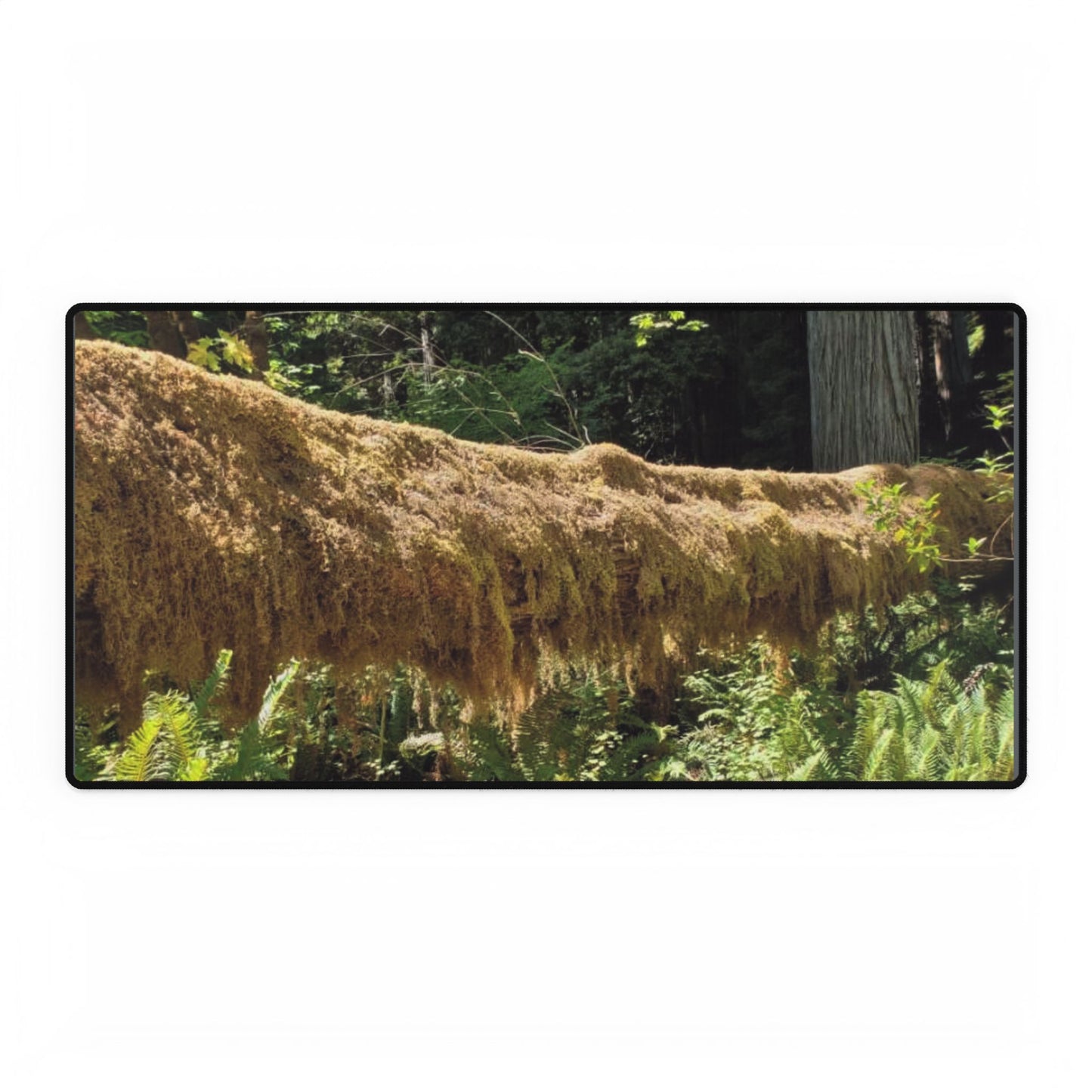 Desk Mat Giant Redwood